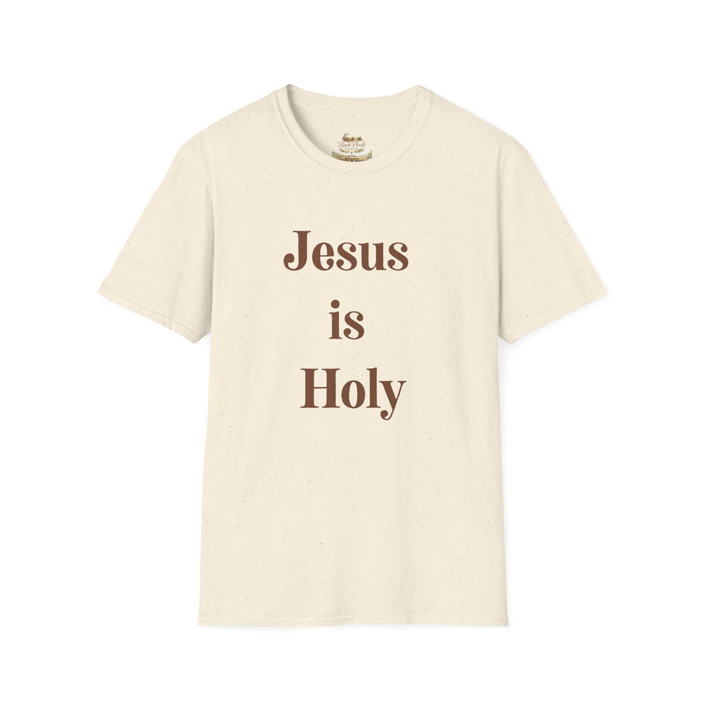 Jesus Is Holy T-Shirt — Christian Faith Tee